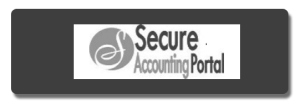 secure accounting portal